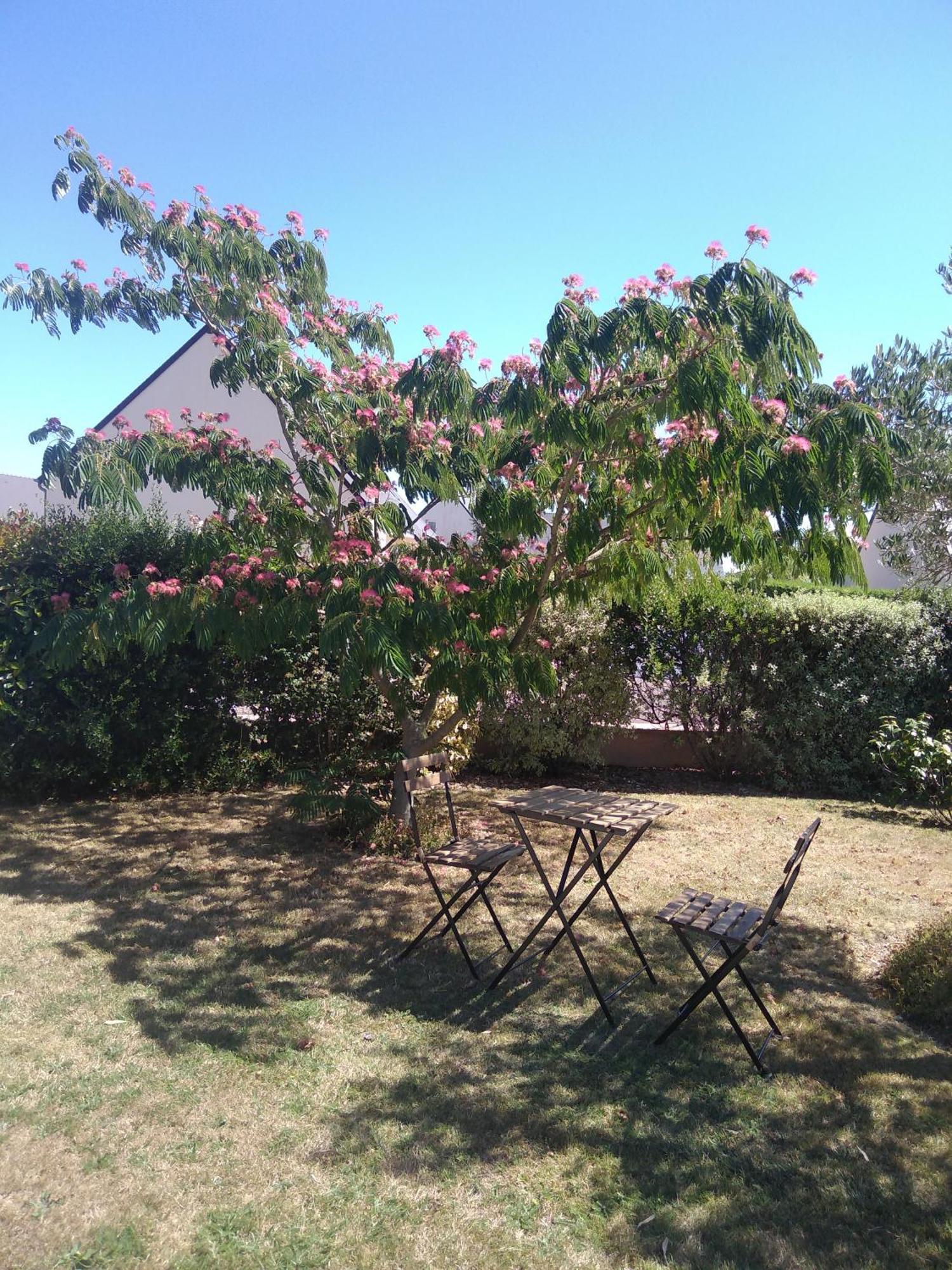 Chambre Agreable Au Calme Saint-Hilaire-Petitville Exteriér fotografie